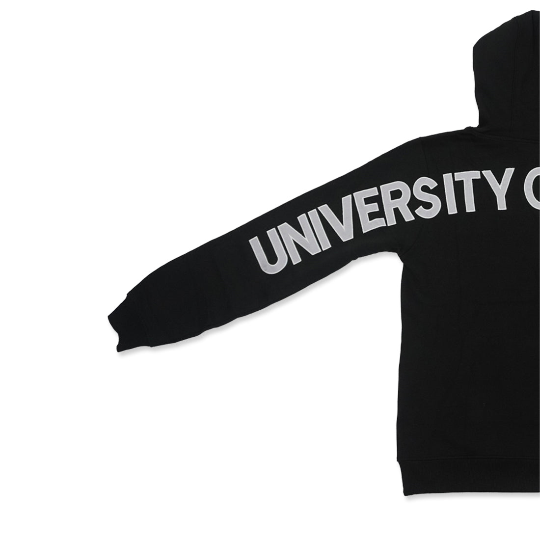 Picture of UWaterloo Sleeve Graphic Hoodie