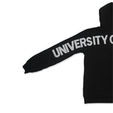 Picture of UWaterloo Sleeve Graphic Hoodie