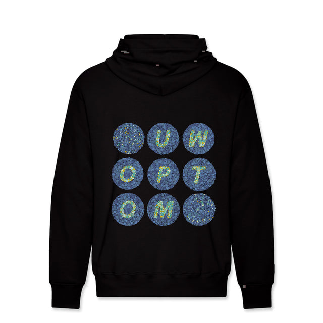 Picture of School of Optometry Class of 2029 Hoodie - Black
