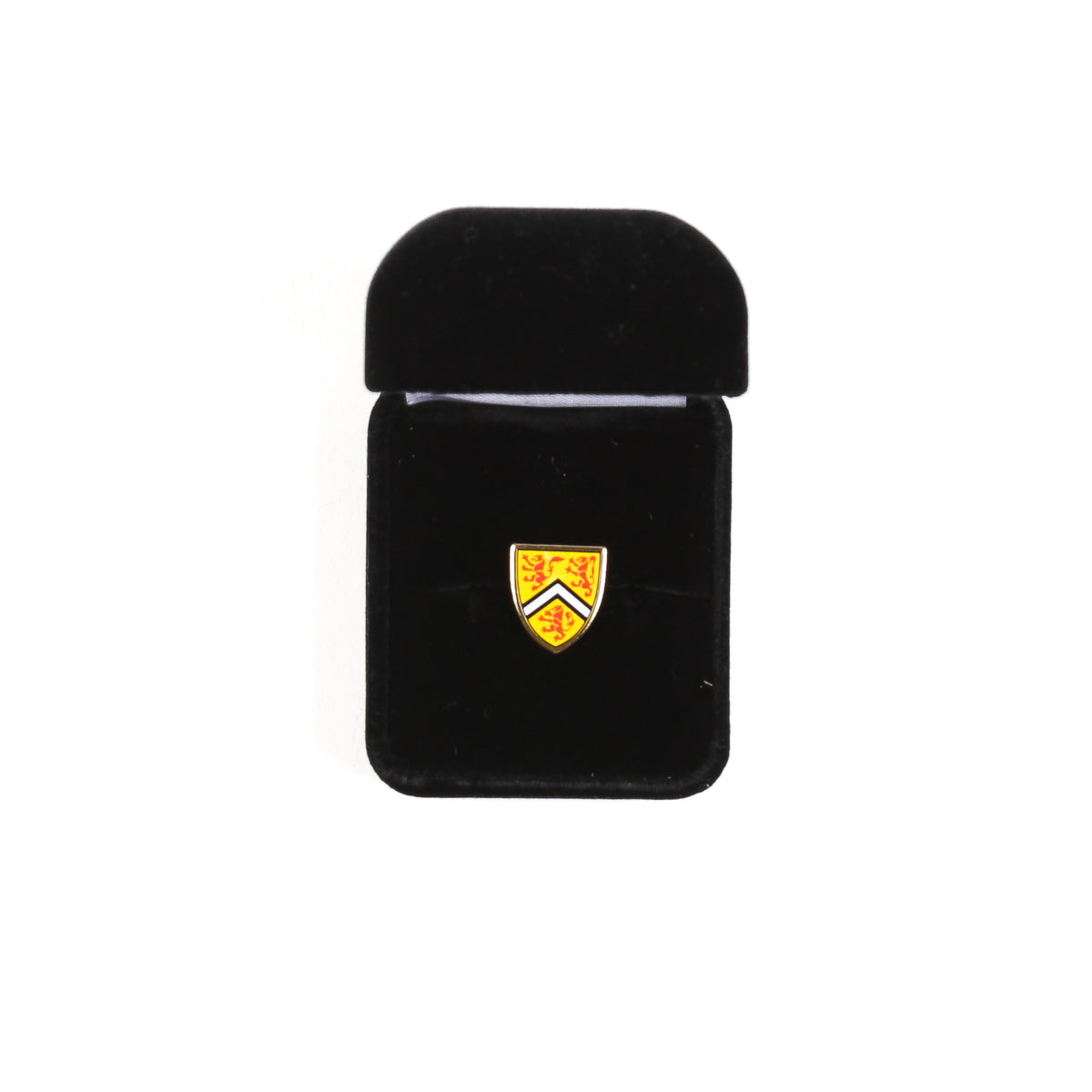 Picture of UWaterloo Pin - Gold