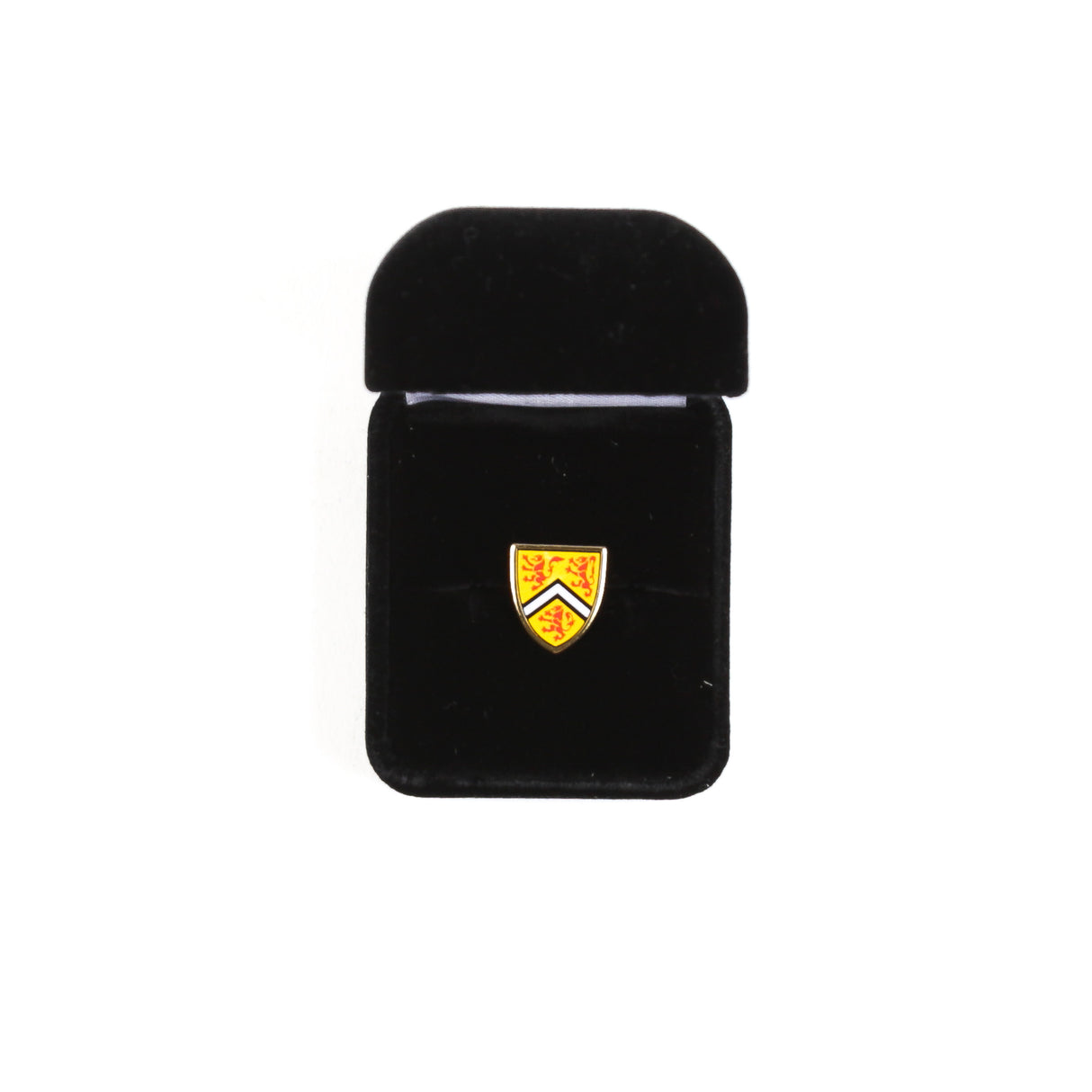 Picture of UWaterloo Pin - Gold