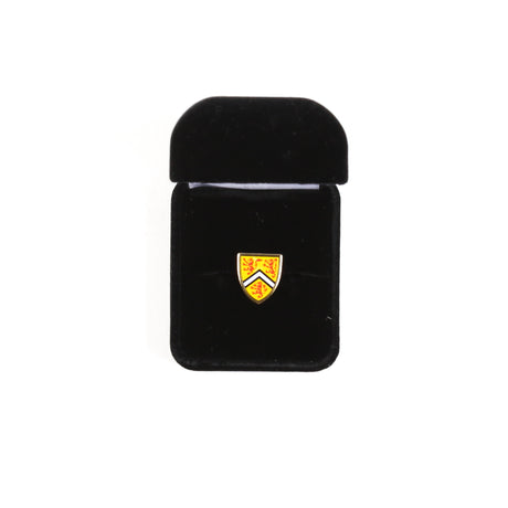 Picture of UWaterloo Pin - Gold