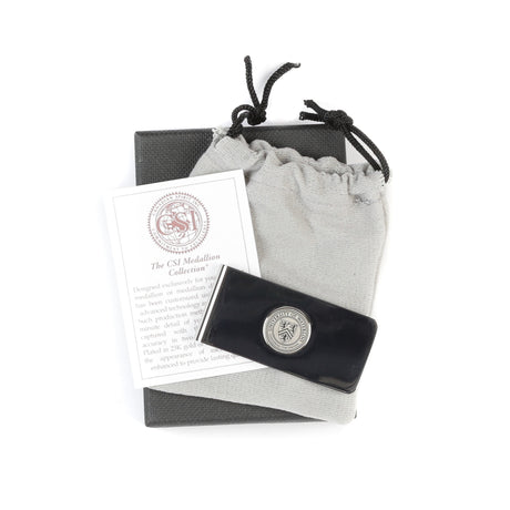 Picture of UWaterloo Money Clip - Metallic Silver