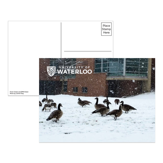 Picture of UWaterloo Postcard - GeeseAndBMHGreen